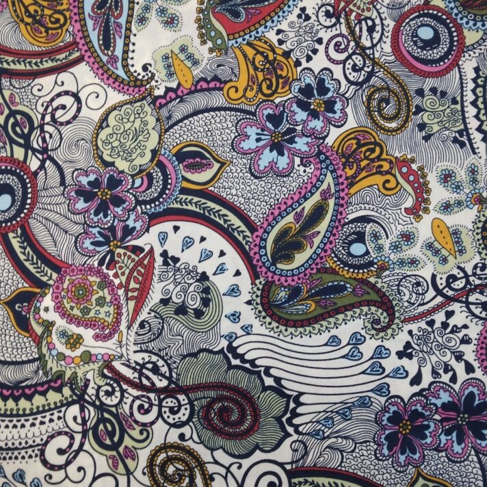 Outlined Paisley